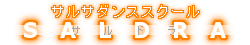 SALDRAフッターロゴ