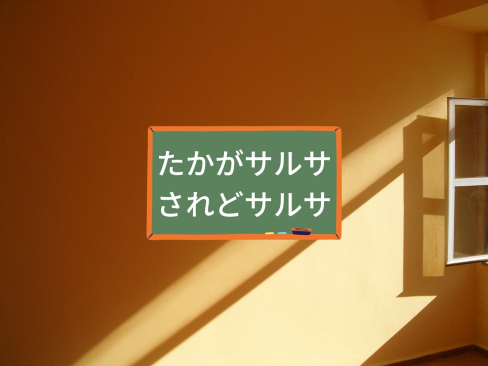 たかがサルサされどサルサ