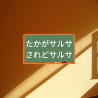 たかがサルサされどサルサ