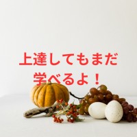 上達してもまだ学べる